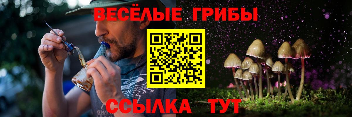 Псилоцибиновые грибы Magic Shrooms Дивногорск