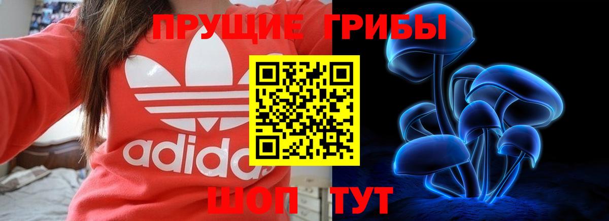 Дивногорск  Псилоцибиновые грибы ЛСД  Вход с VPN 